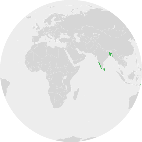 bangladesh-shri-lanka-malab-bereg